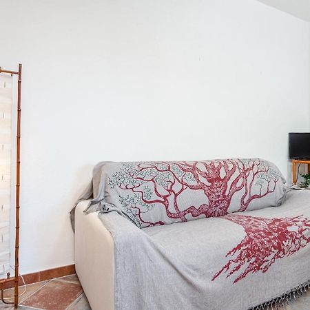 Holiday House Li Piri San Teodoro  Kültér fotó